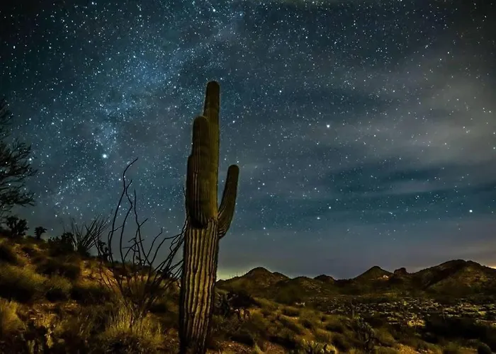 Tucasa - Private Backyard - Theater Holiday home Tucson